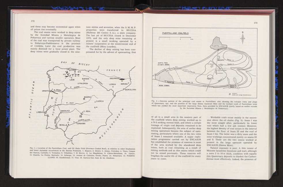 Anais da Faculdade de Cincias : supplement to volume 64 (1983) : special volume in honour of Wenceslau de Lima, palaeobotanist and statesman (1858-1919) 113