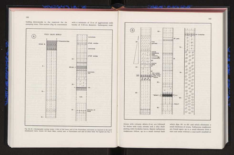 Anais da Faculdade de Cincias : supplement to volume 64 (1983) : special volume in honour of Wenceslau de Lima, palaeobotanist and statesman (1858-1919) 118