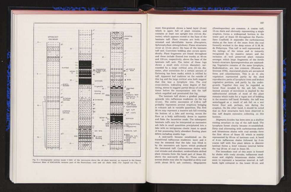 Anais da Faculdade de Cincias : supplement to volume 64 (1983) : special volume in honour of Wenceslau de Lima, palaeobotanist and statesman (1858-1919) 120