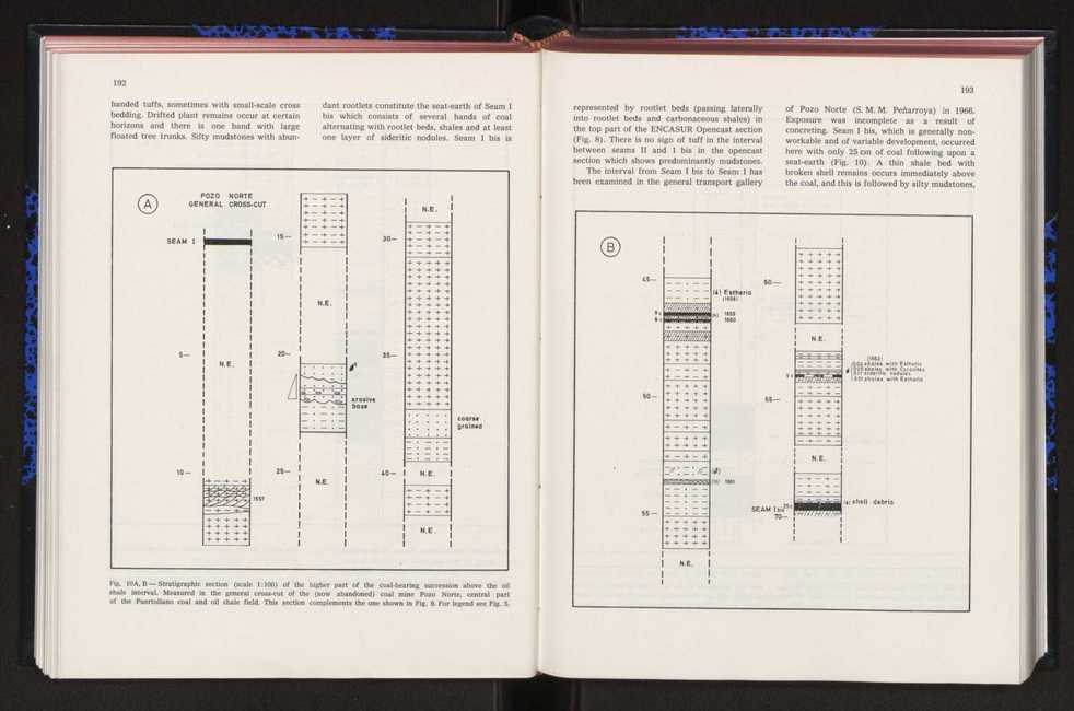 Anais da Faculdade de Cincias : supplement to volume 64 (1983) : special volume in honour of Wenceslau de Lima, palaeobotanist and statesman (1858-1919) 123