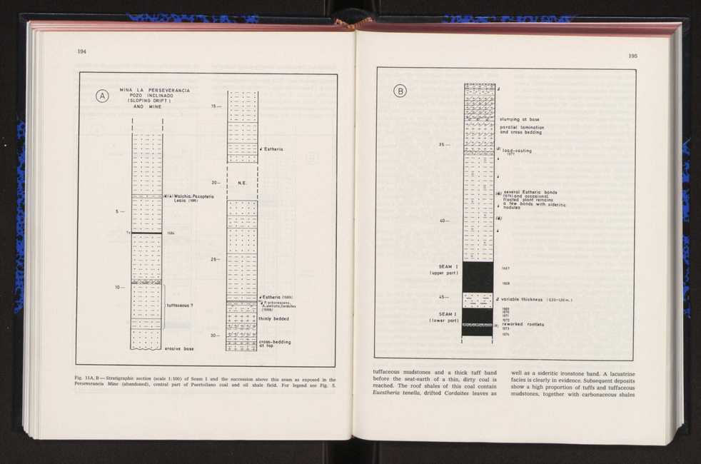 Anais da Faculdade de Cincias : supplement to volume 64 (1983) : special volume in honour of Wenceslau de Lima, palaeobotanist and statesman (1858-1919) 124