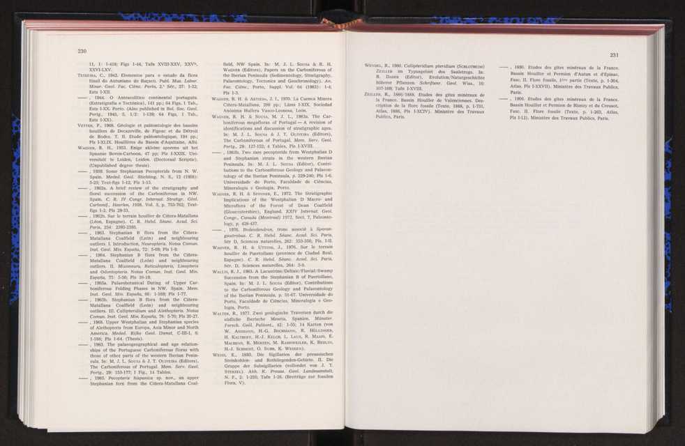 Anais da Faculdade de Cincias : supplement to volume 64 (1983) : special volume in honour of Wenceslau de Lima, palaeobotanist and statesman (1858-1919) 143