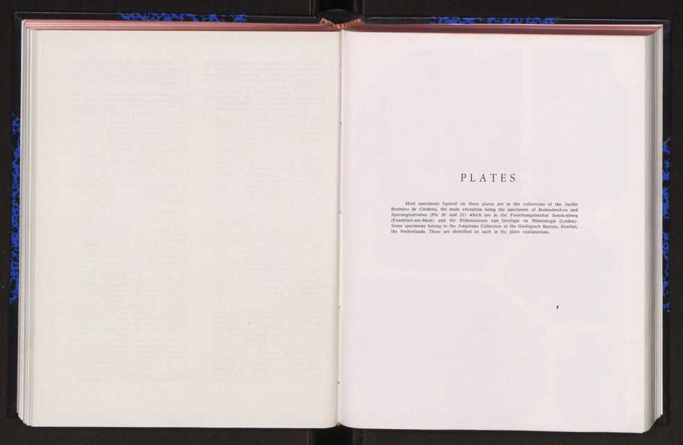 Anais da Faculdade de Cincias : supplement to volume 64 (1983) : special volume in honour of Wenceslau de Lima, palaeobotanist and statesman (1858-1919) 144