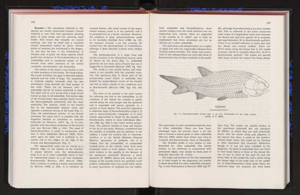 Anais da Faculdade de Ci�ncias : supplement to volume 64 (1983) : special volume in honour of Wenceslau de Lima, palaeobotanist and statesman (1858-1919) 168