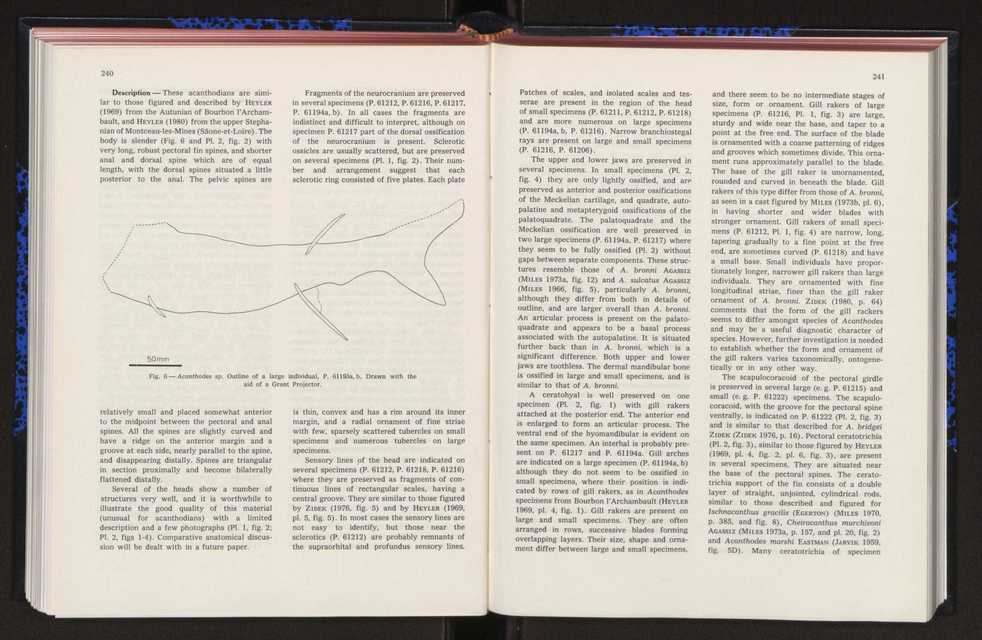 Anais da Faculdade de Cincias : supplement to volume 64 (1983) : special volume in honour of Wenceslau de Lima, palaeobotanist and statesman (1858-1919) 170