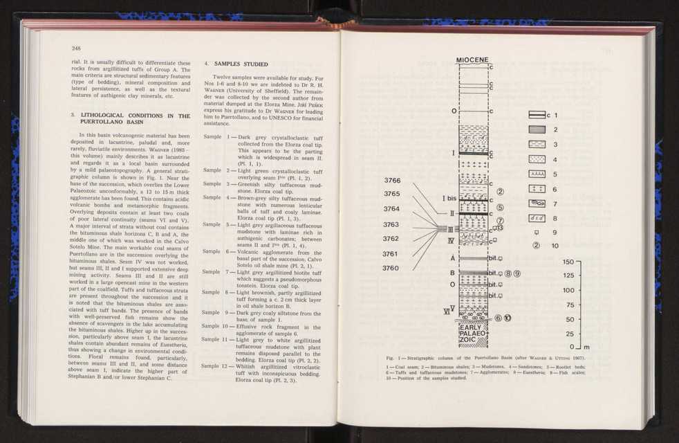 Anais da Faculdade de Cincias : supplement to volume 64 (1983) : special volume in honour of Wenceslau de Lima, palaeobotanist and statesman (1858-1919) 177