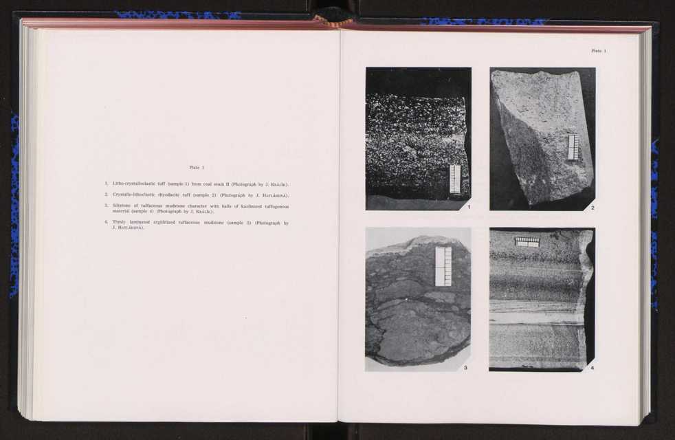 Anais da Faculdade de Cincias : supplement to volume 64 (1983) : special volume in honour of Wenceslau de Lima, palaeobotanist and statesman (1858-1919) 188