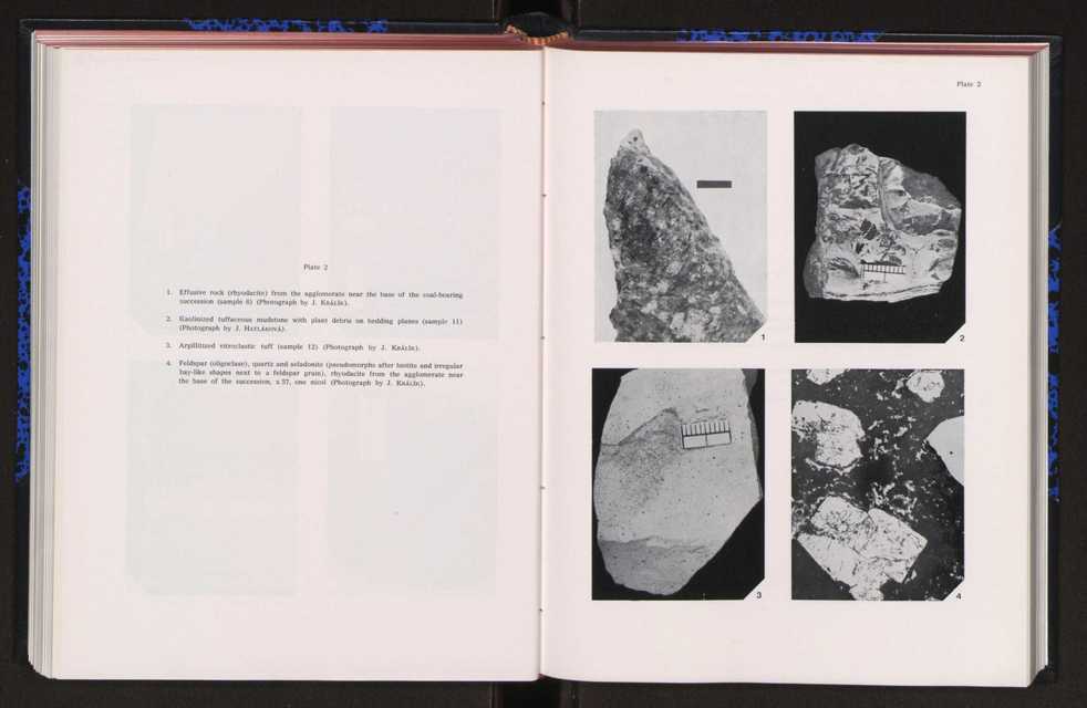 Anais da Faculdade de Cincias : supplement to volume 64 (1983) : special volume in honour of Wenceslau de Lima, palaeobotanist and statesman (1858-1919) 189