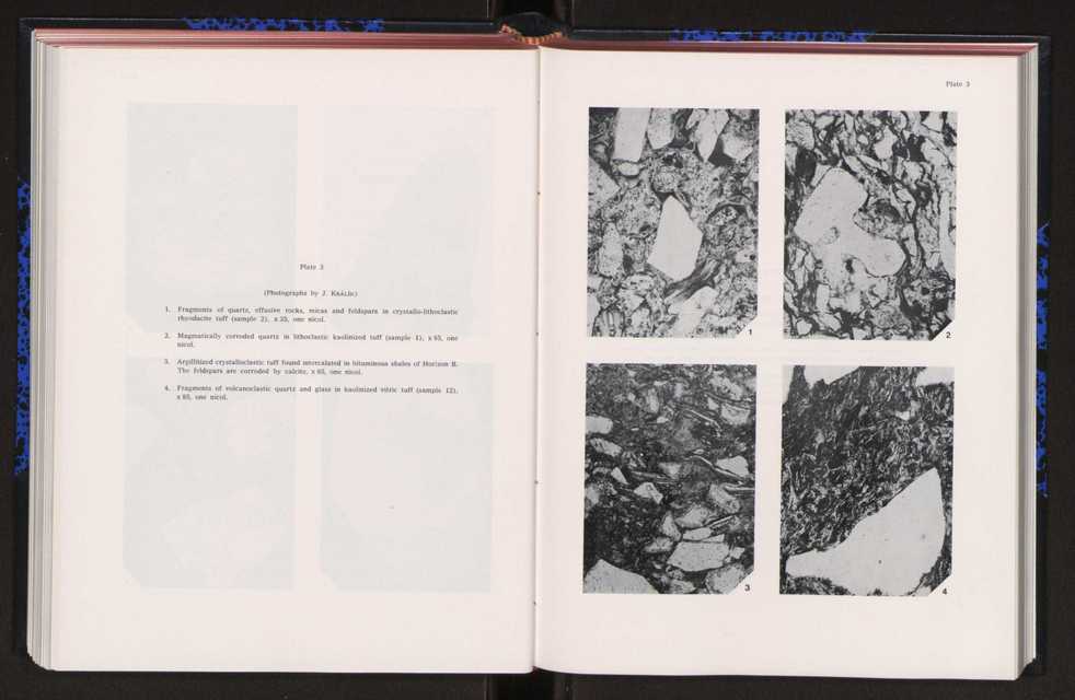 Anais da Faculdade de Cincias : supplement to volume 64 (1983) : special volume in honour of Wenceslau de Lima, palaeobotanist and statesman (1858-1919) 190