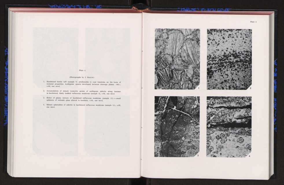 Anais da Faculdade de Ci�ncias : supplement to volume 64 (1983) : special volume in honour of Wenceslau de Lima, palaeobotanist and statesman (1858-1919) 191