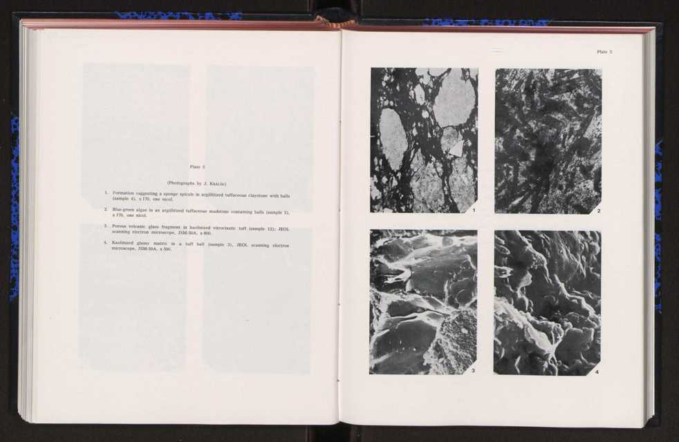 Anais da Faculdade de Cincias : supplement to volume 64 (1983) : special volume in honour of Wenceslau de Lima, palaeobotanist and statesman (1858-1919) 192