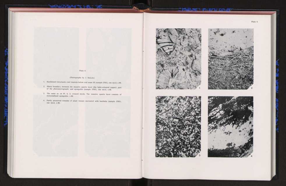 Anais da Faculdade de Cincias : supplement to volume 64 (1983) : special volume in honour of Wenceslau de Lima, palaeobotanist and statesman (1858-1919) 193