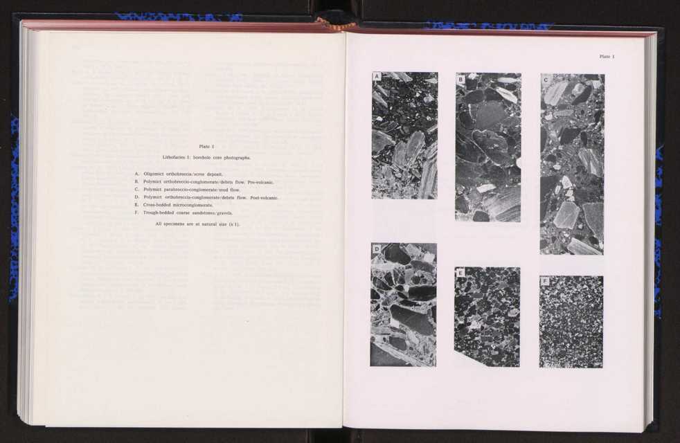 Anais da Faculdade de Cincias : supplement to volume 64 (1983) : special volume in honour of Wenceslau de Lima, palaeobotanist and statesman (1858-1919) 202