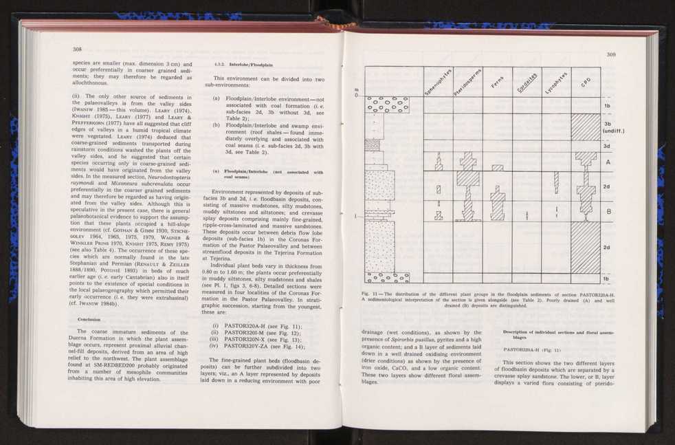 Anais da Faculdade de Cincias : supplement to volume 64 (1983) : special volume in honour of Wenceslau de Lima, palaeobotanist and statesman (1858-1919) 217
