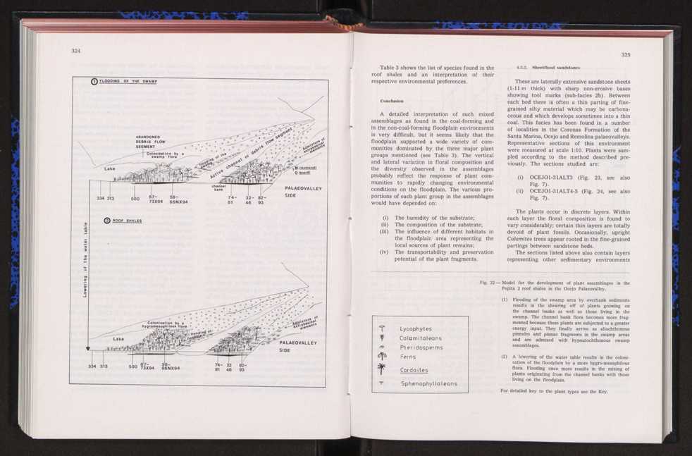 Anais da Faculdade de Cincias : supplement to volume 64 (1983) : special volume in honour of Wenceslau de Lima, palaeobotanist and statesman (1858-1919) 225