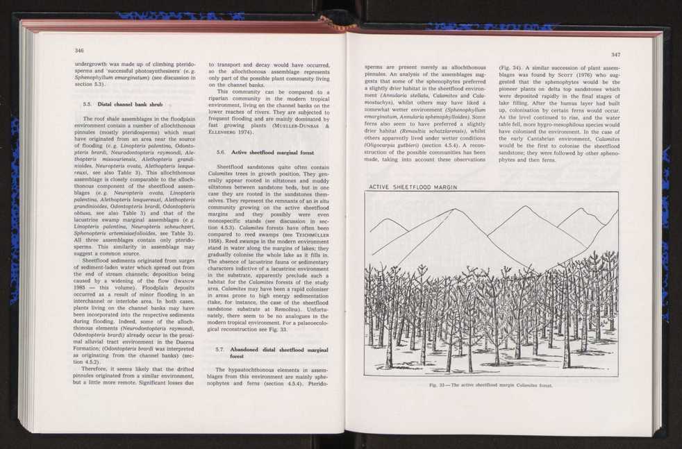 Anais da Faculdade de Cincias : supplement to volume 64 (1983) : special volume in honour of Wenceslau de Lima, palaeobotanist and statesman (1858-1919) 236