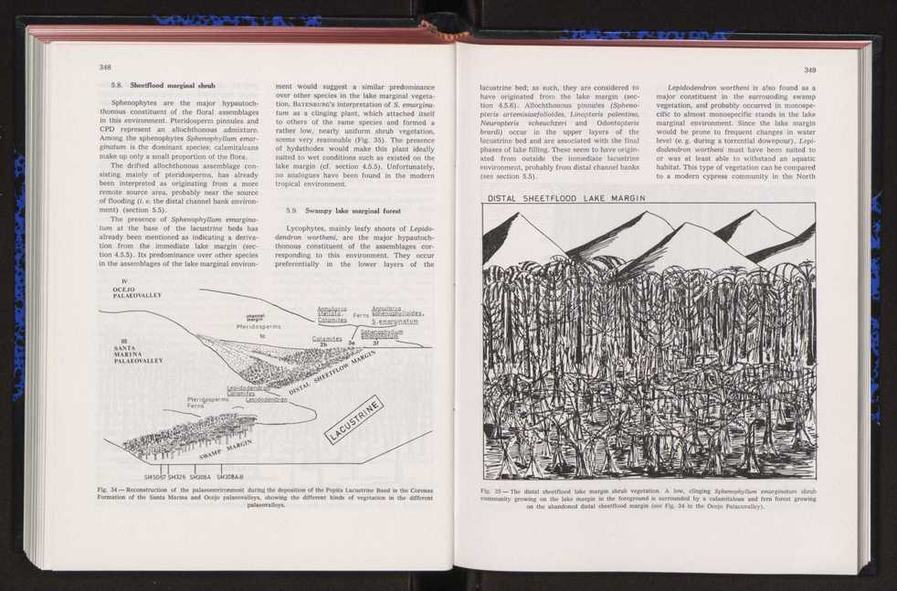 Anais da Faculdade de Cincias : supplement to volume 64 (1983) : special volume in honour of Wenceslau de Lima, palaeobotanist and statesman (1858-1919) 237