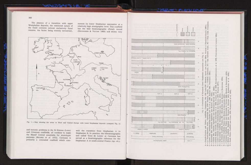 Anais da Faculdade de Cincias : supplement to volume 64 (1983) : special volume in honour of Wenceslau de Lima, palaeobotanist and statesman (1858-1919) 248