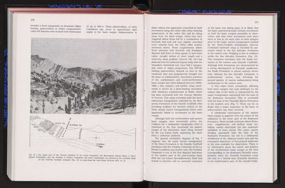 Anais da Faculdade de Cincias : supplement to volume 64 (1983) : special volume in honour of Wenceslau de Lima, palaeobotanist and statesman (1858-1919) 256