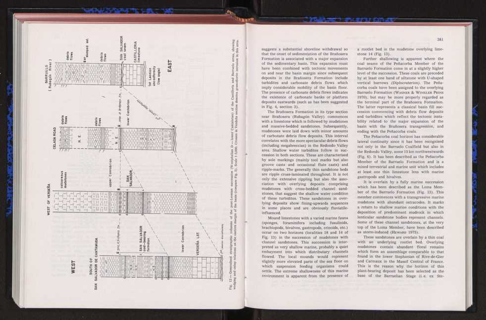 Anais da Faculdade de Cincias : supplement to volume 64 (1983) : special volume in honour of Wenceslau de Lima, palaeobotanist and statesman (1858-1919) 258