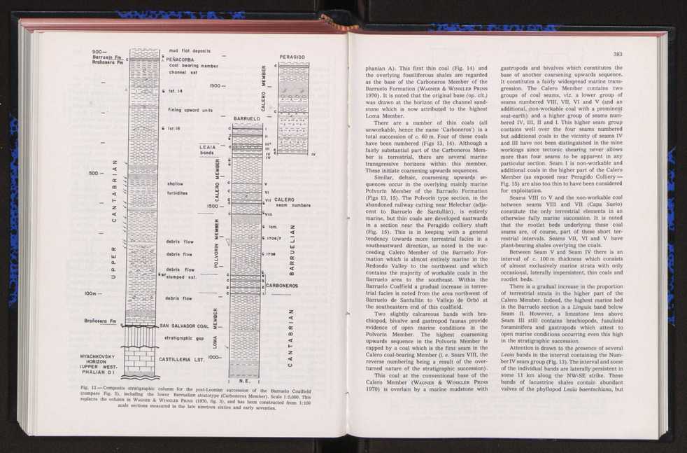 Anais da Faculdade de Cincias : supplement to volume 64 (1983) : special volume in honour of Wenceslau de Lima, palaeobotanist and statesman (1858-1919) 259