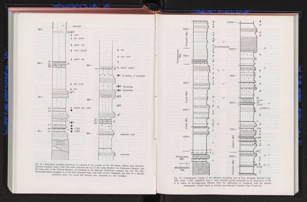 Anais da Faculdade de Cincias : supplement to volume 64 (1983) : special volume in honour of Wenceslau de Lima, palaeobotanist and statesman (1858-1919) 260