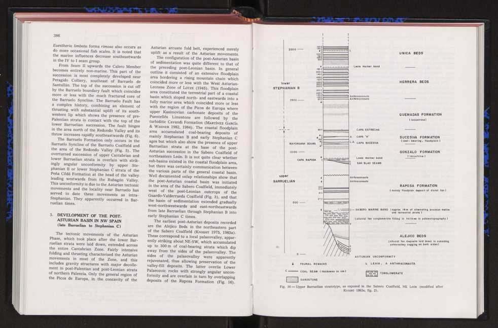 Anais da Faculdade de Cincias : supplement to volume 64 (1983) : special volume in honour of Wenceslau de Lima, palaeobotanist and statesman (1858-1919) 261