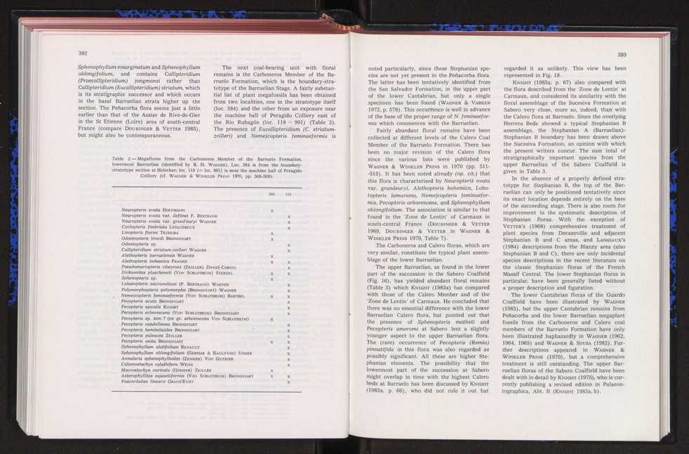 Anais da Faculdade de Cincias : supplement to volume 64 (1983) : special volume in honour of Wenceslau de Lima, palaeobotanist and statesman (1858-1919) 264