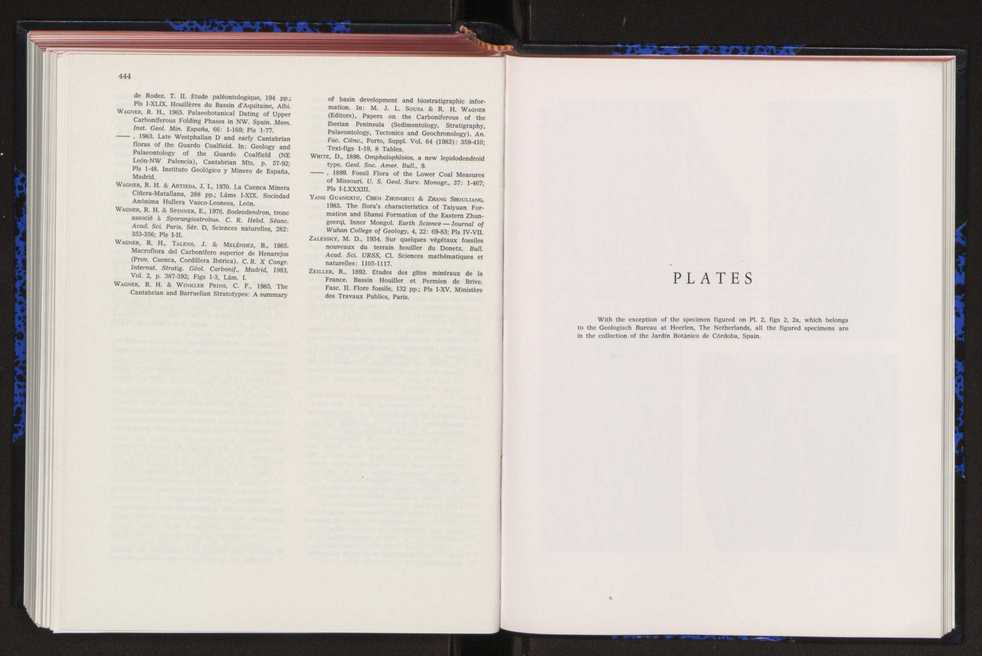 Anais da Faculdade de Cincias : supplement to volume 64 (1983) : special volume in honour of Wenceslau de Lima, palaeobotanist and statesman (1858-1919) 290