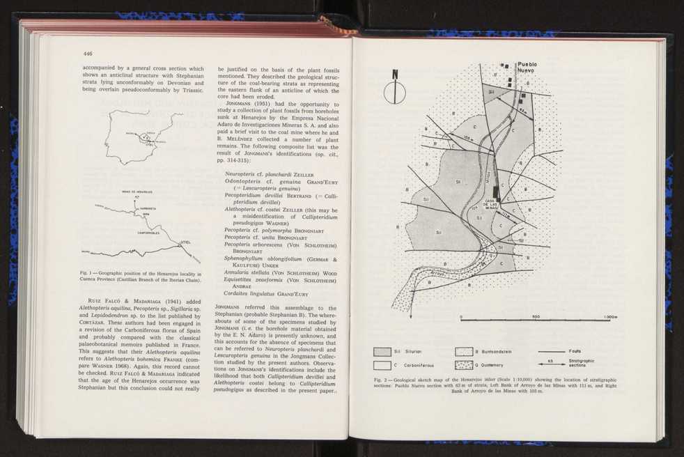 Anais da Faculdade de Cincias : supplement to volume 64 (1983) : special volume in honour of Wenceslau de Lima, palaeobotanist and statesman (1858-1919) 295