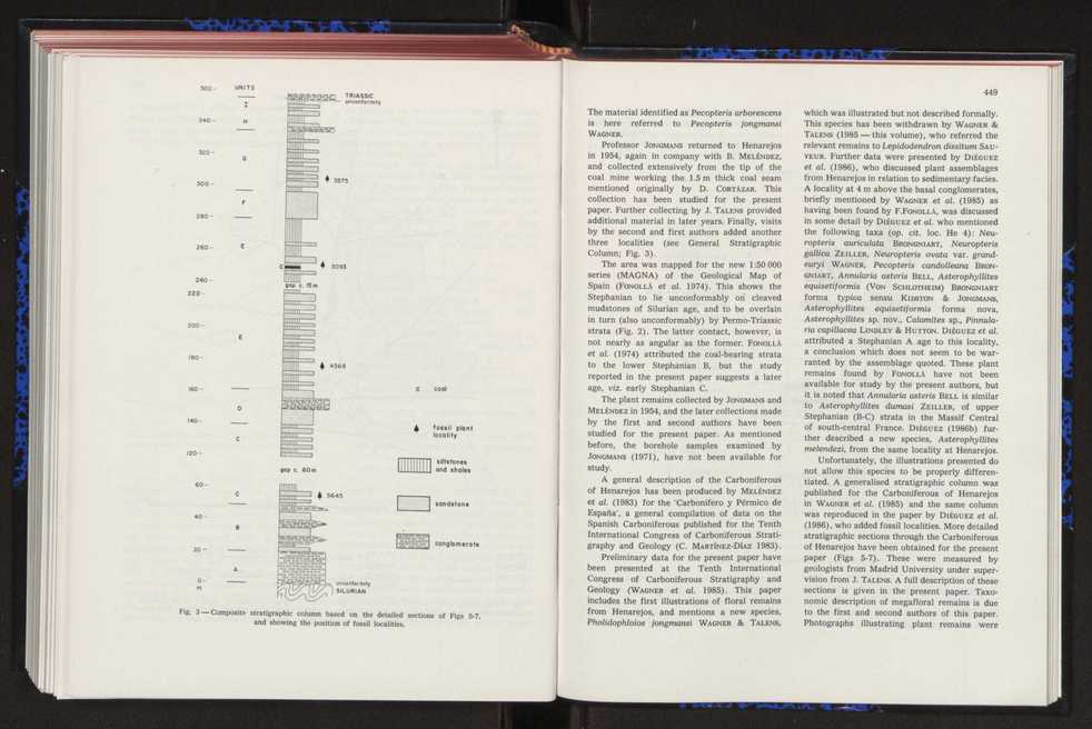 Anais da Faculdade de Cincias : supplement to volume 64 (1983) : special volume in honour of Wenceslau de Lima, palaeobotanist and statesman (1858-1919) 296