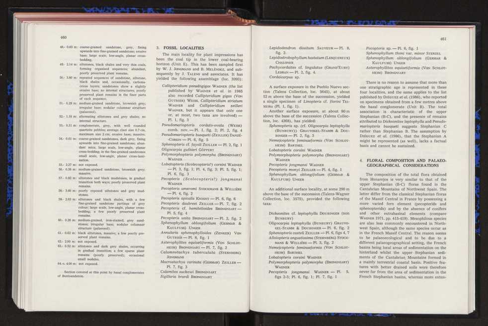 Anais da Faculdade de Ci�ncias : supplement to volume 64 (1983) : special volume in honour of Wenceslau de Lima, palaeobotanist and statesman (1858-1919) 302
