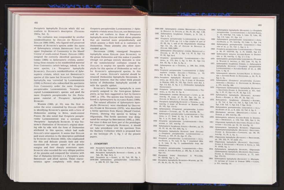 Anais da Faculdade de Cincias : supplement to volume 64 (1983) : special volume in honour of Wenceslau de Lima, palaeobotanist and statesman (1858-1919) 322