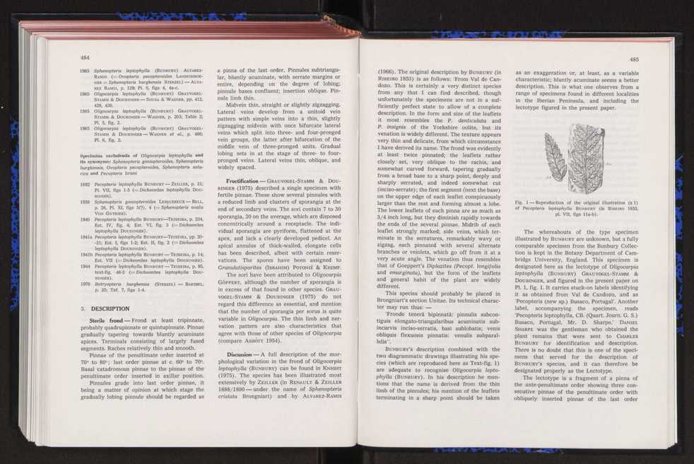 Anais da Faculdade de Cincias : supplement to volume 64 (1983) : special volume in honour of Wenceslau de Lima, palaeobotanist and statesman (1858-1919) 323