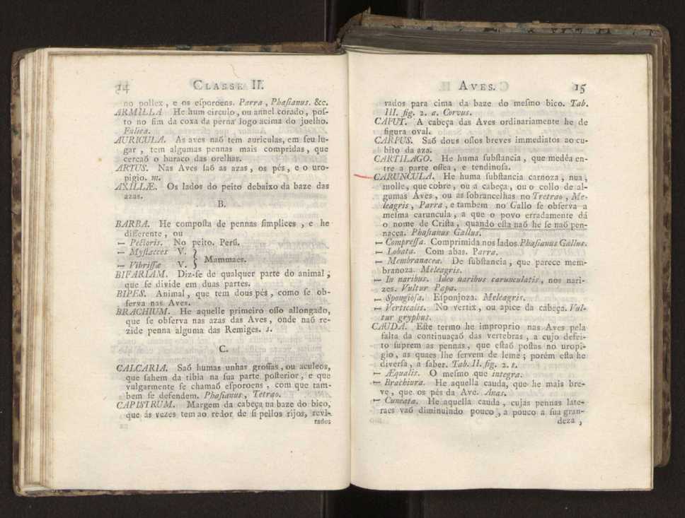Diccionario dos termos technicos de historia natural extrahidos das obras de Linno ...:Memoria sobre a utilidade dos jardins botanicos 31