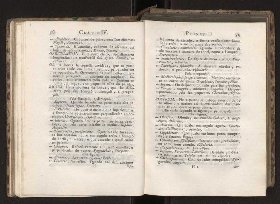 Diccionario dos termos technicos de historia natural extrahidos das obras de Linno ...:Memoria sobre a utilidade dos jardins botanicos 53