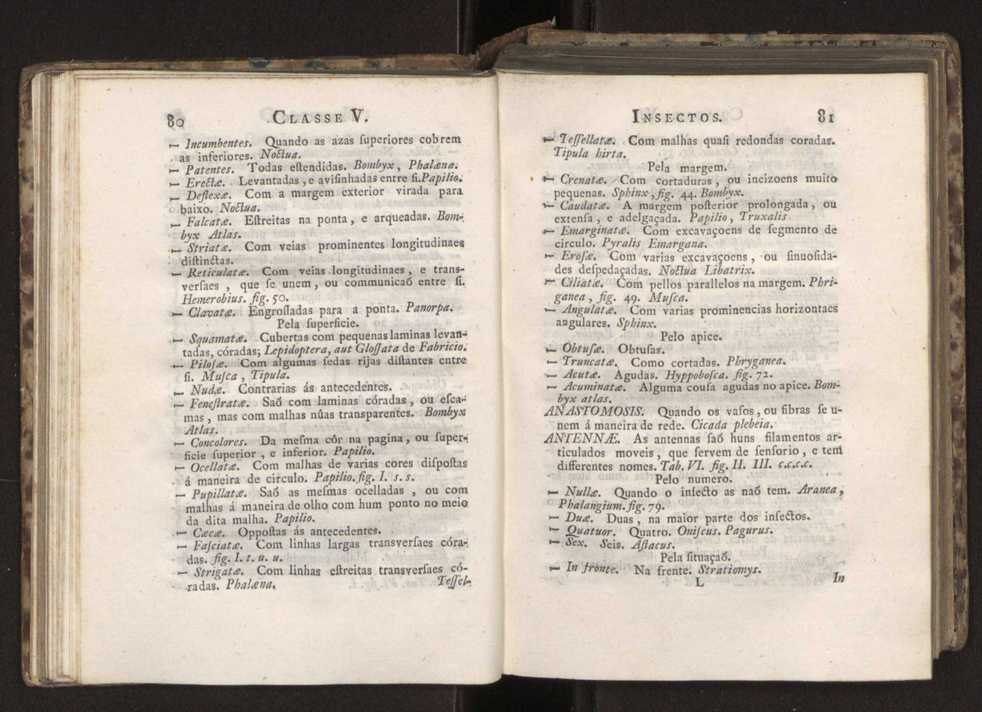 Diccionario dos termos technicos de historia natural extrahidos das obras de Linn�o ...�:�Memoria sobre a utilidade dos jardins botanicos� 64