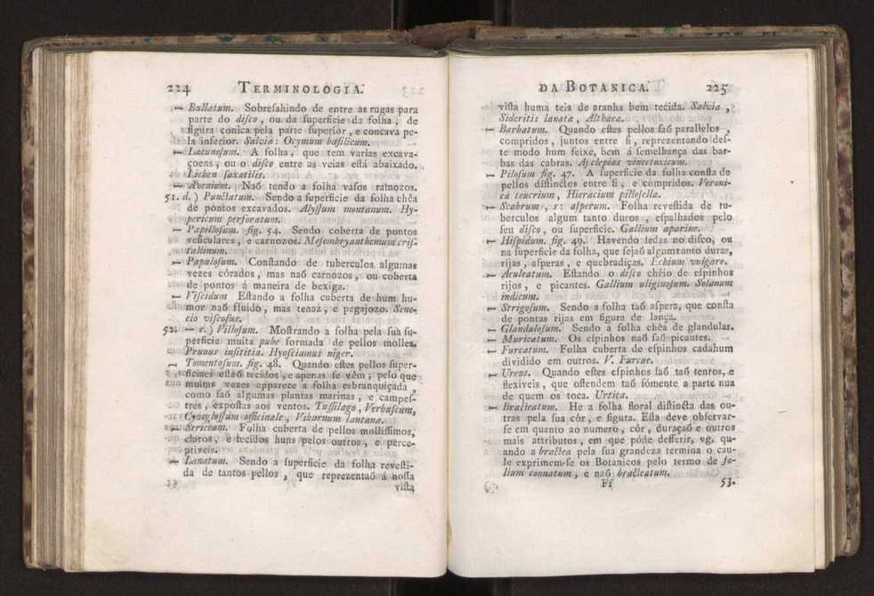 Diccionario dos termos technicos de historia natural extrahidos das obras de Linno ...:Memoria sobre a utilidade dos jardins botanicos 136