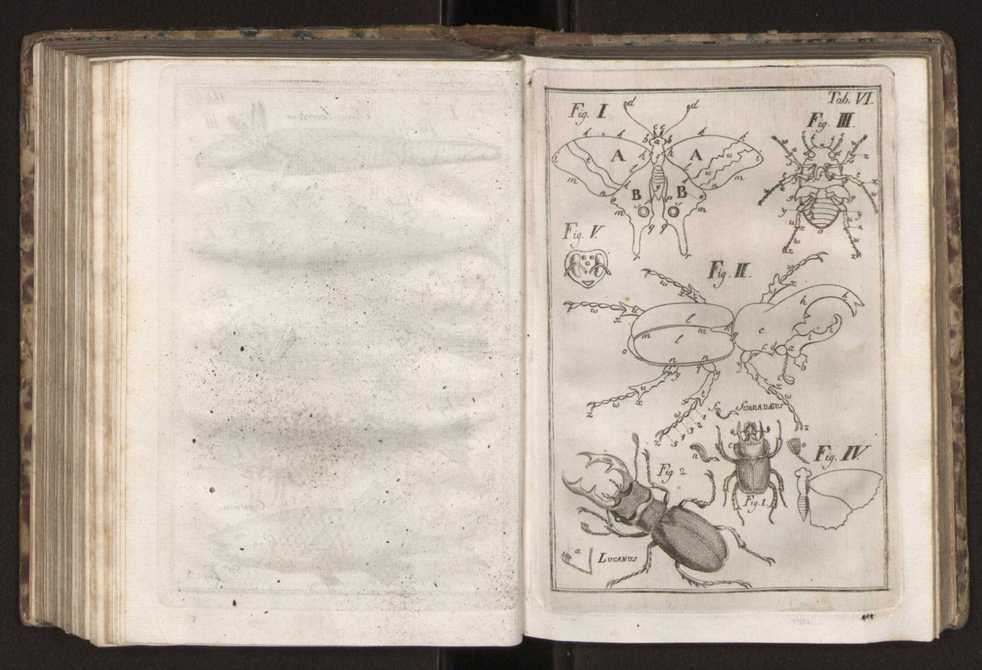 Diccionario dos termos technicos de historia natural extrahidos das obras de Linno ...:Memoria sobre a utilidade dos jardins botanicos 181