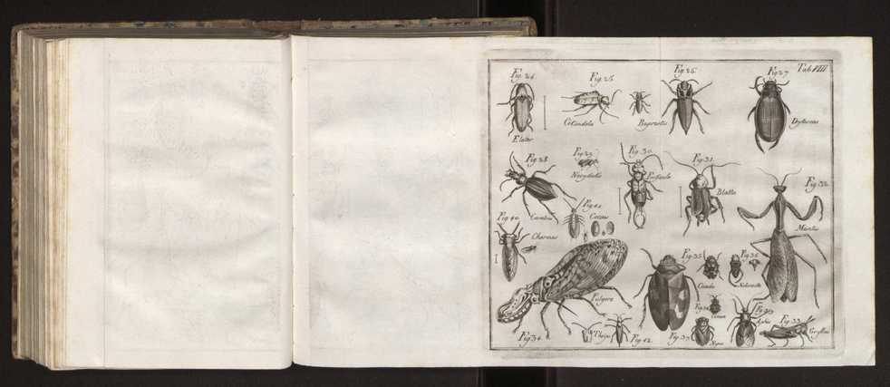 Diccionario dos termos technicos de historia natural extrahidos das obras de Linno ...:Memoria sobre a utilidade dos jardins botanicos 183