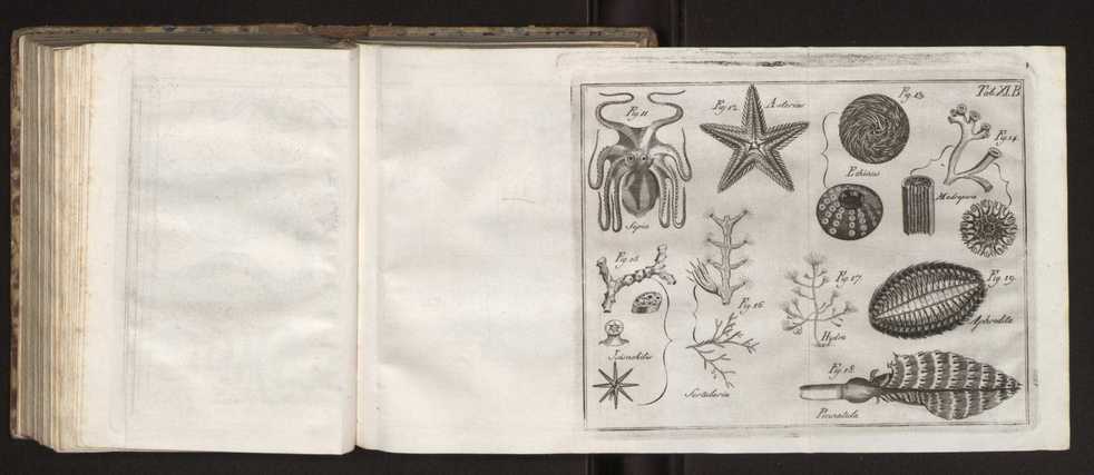 Diccionario dos termos technicos de historia natural extrahidos das obras de Linno ...:Memoria sobre a utilidade dos jardins botanicos 187