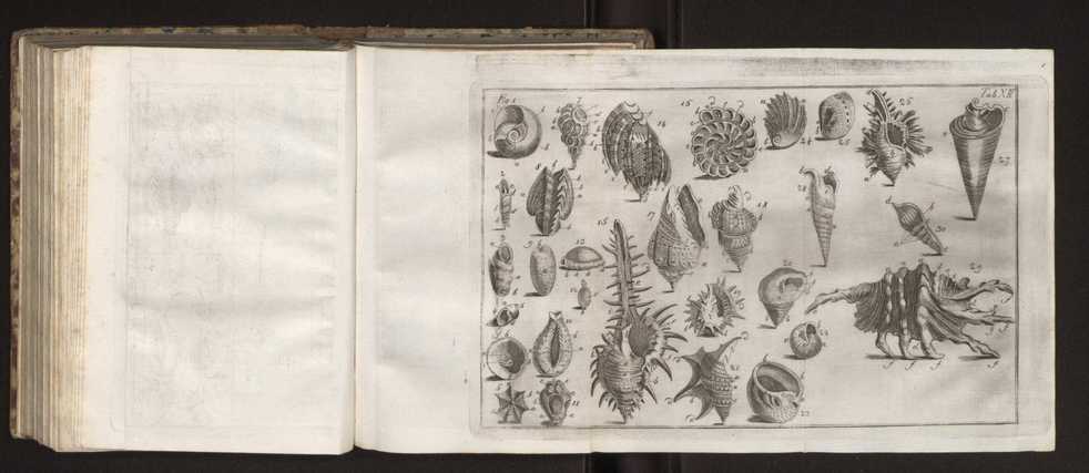 Diccionario dos termos technicos de historia natural extrahidos das obras de Linno ...:Memoria sobre a utilidade dos jardins botanicos 188