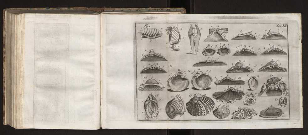 Diccionario dos termos technicos de historia natural extrahidos das obras de Linno ...:Memoria sobre a utilidade dos jardins botanicos 189