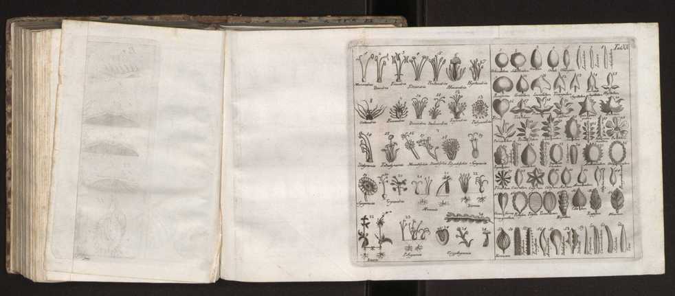 Diccionario dos termos technicos de historia natural extrahidos das obras de Linno ...:Memoria sobre a utilidade dos jardins botanicos 190