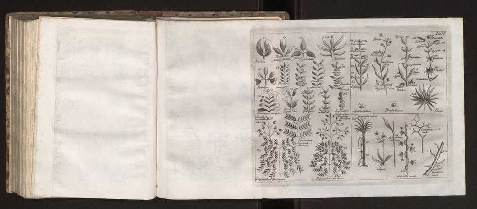 Diccionario dos termos technicos de historia natural extrahidos das obras de Linno ...:Memoria sobre a utilidade dos jardins botanicos 191