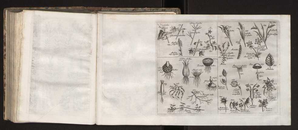 Diccionario dos termos technicos de historia natural extrahidos das obras de Linno ...:Memoria sobre a utilidade dos jardins botanicos 192