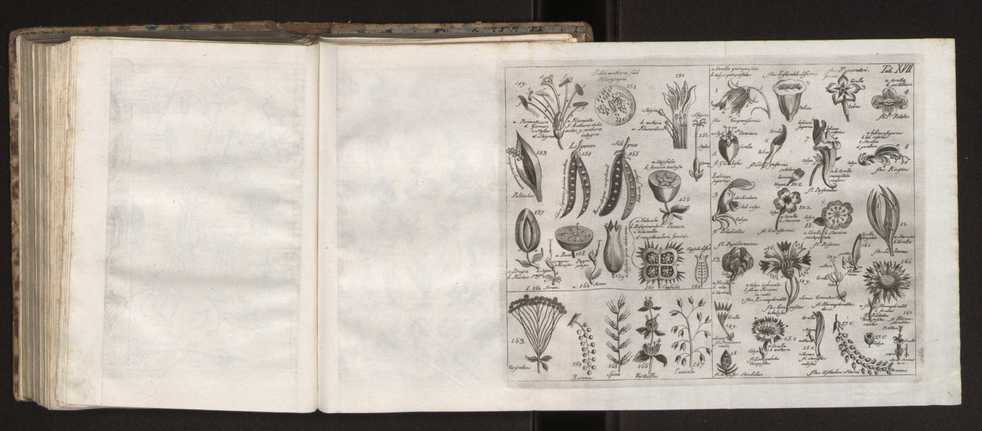 Diccionario dos termos technicos de historia natural extrahidos das obras de Linno ...:Memoria sobre a utilidade dos jardins botanicos 193