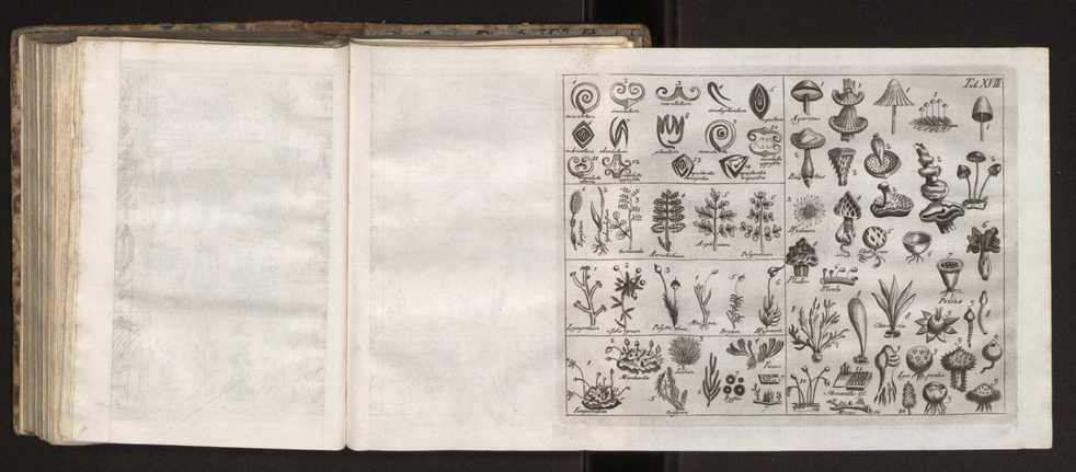 Diccionario dos termos technicos de historia natural extrahidos das obras de Linno ...:Memoria sobre a utilidade dos jardins botanicos 194