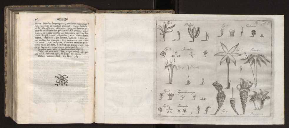 Diccionario dos termos technicos de historia natural extrahidos das obras de Linno ...:Memoria sobre a utilidade dos jardins botanicos 245