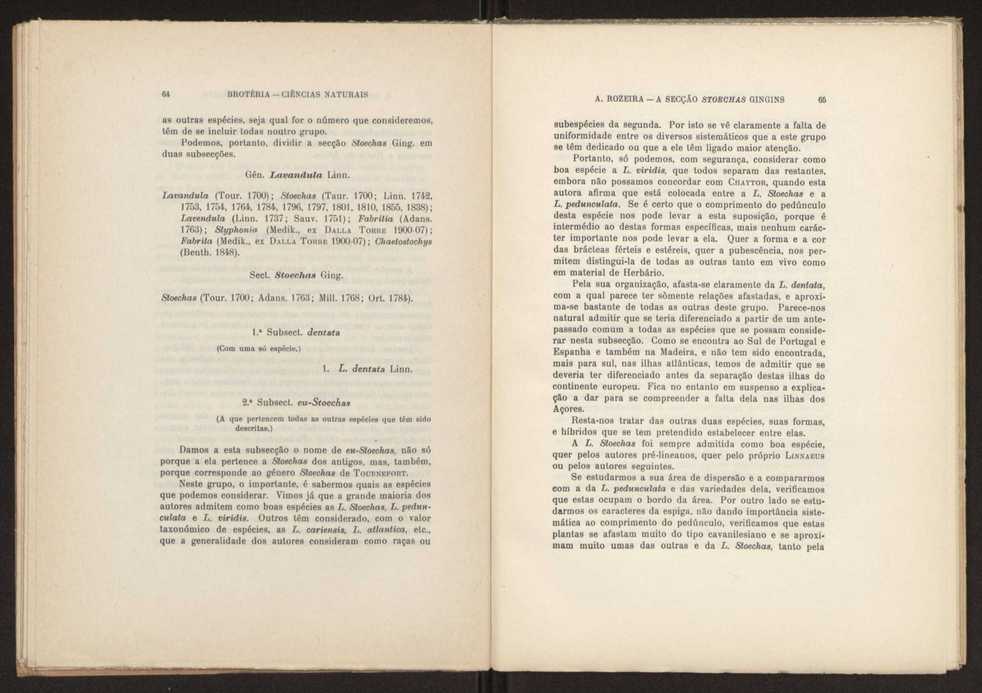 Aseco stoechas gingins, do gnero Lavandula Linn. 34